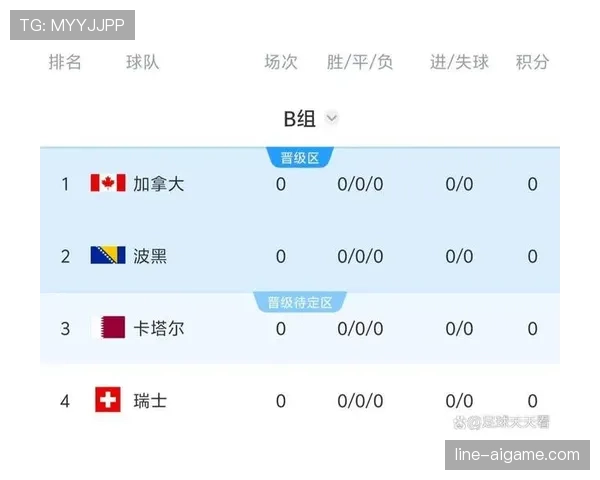 世界杯B组卡塔尔争取关键积分